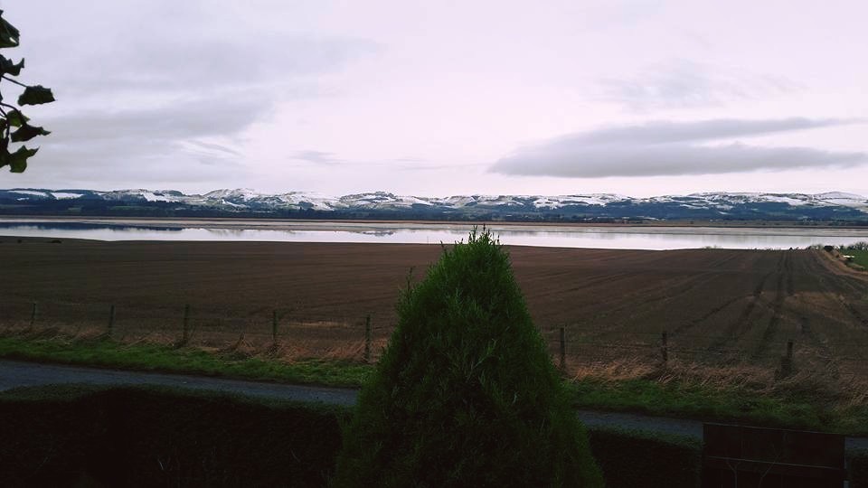 View from my front door on a cold January morning